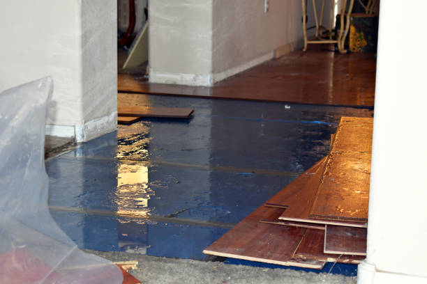 Professional Water Damage technician working in Industry, TX